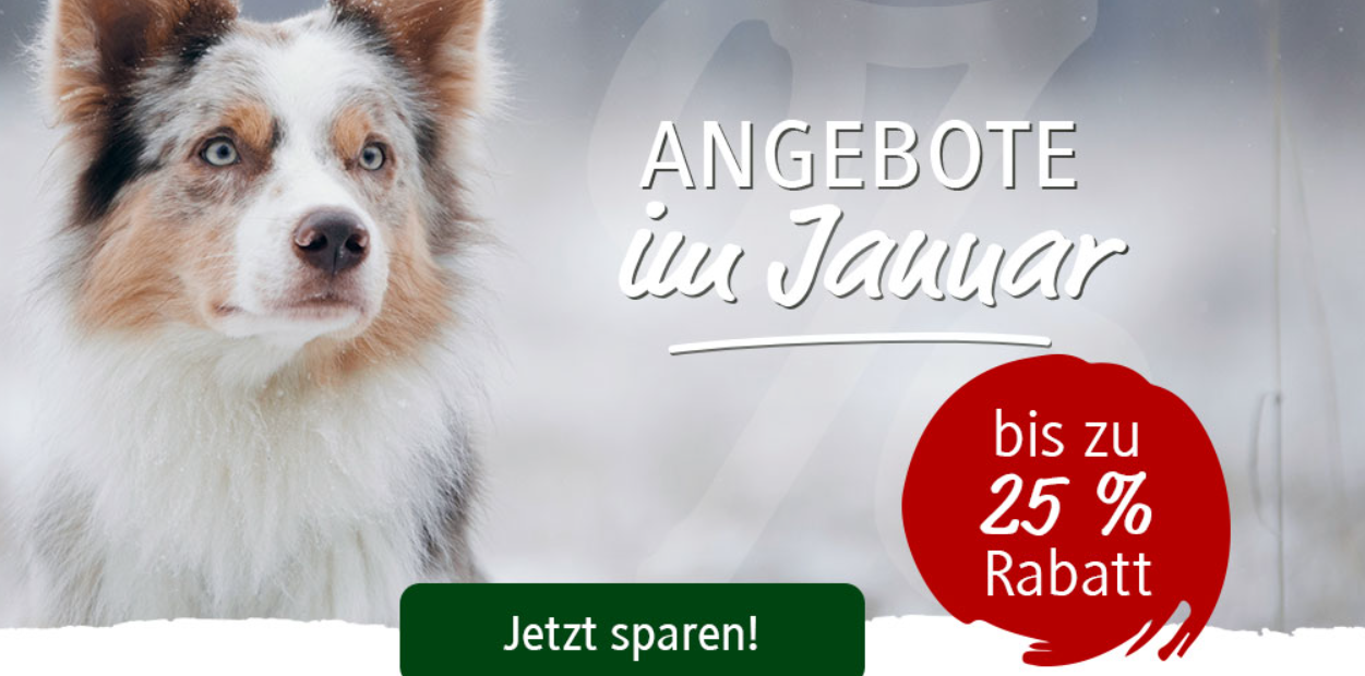 Alsa Hundewelt – Hundefutter-Angebote im Januar – bis 25% Rabatt auf ausgewählte Artikel!