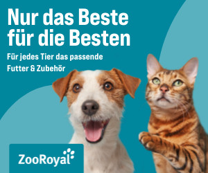 ZooRoyal – 15% Rabatt auf das verschiedene Angebote!